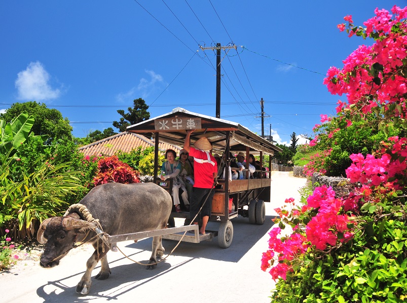 アクティビティ