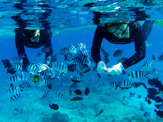 アクティビティ