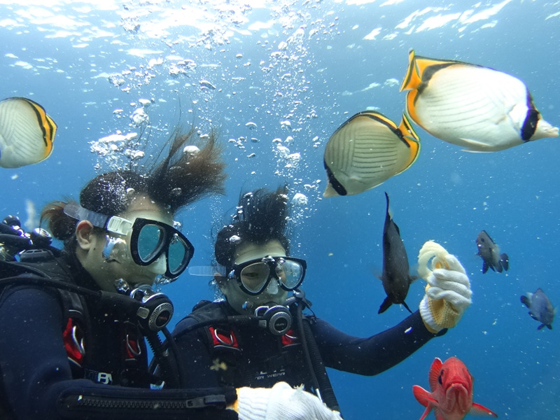 アクティビティ