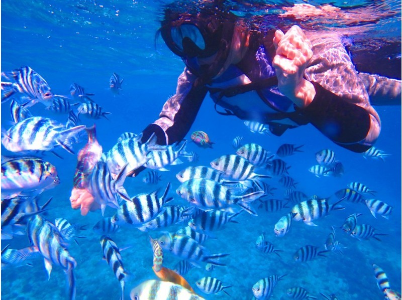 アクティビティ