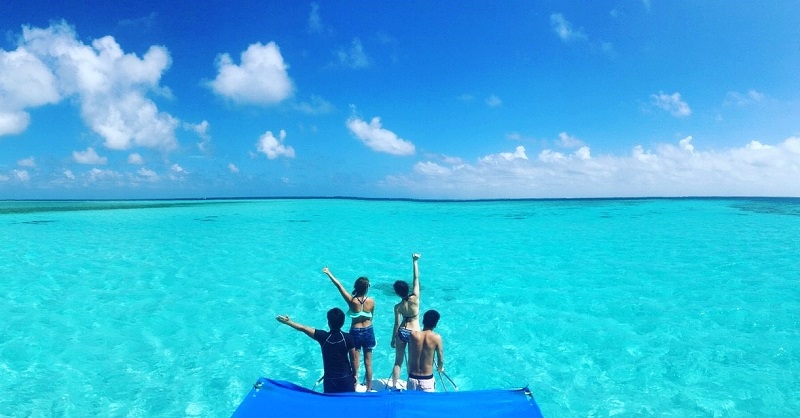 アクティビティ