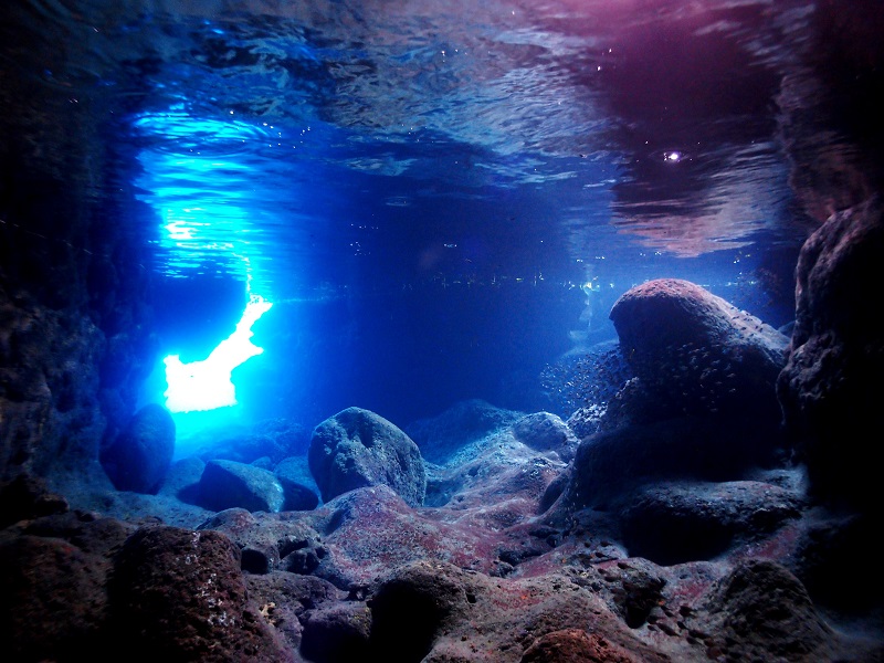 アクティビティ