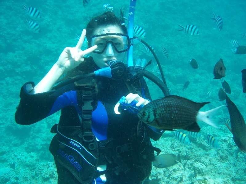 アクティビティ