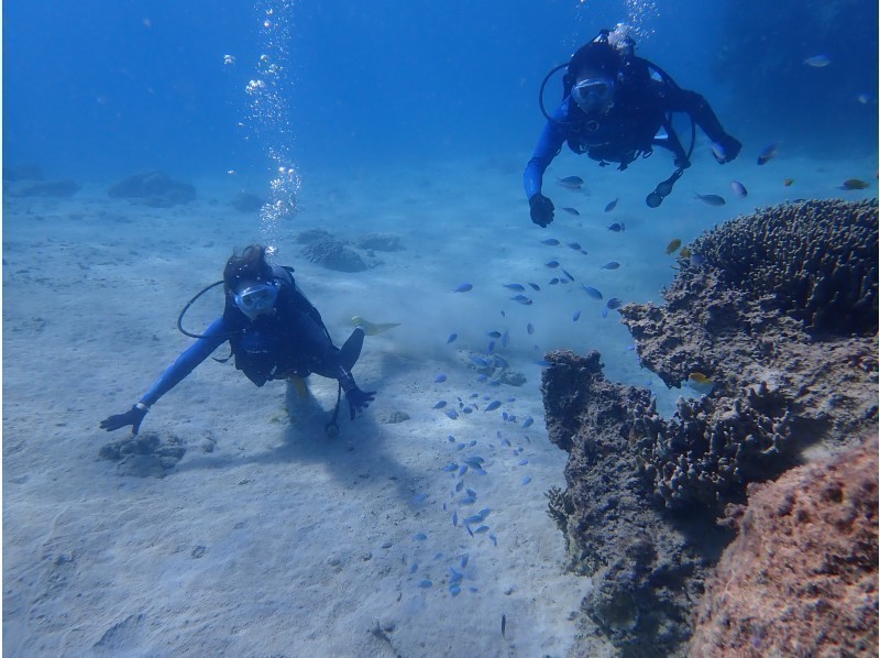 アクティビティ