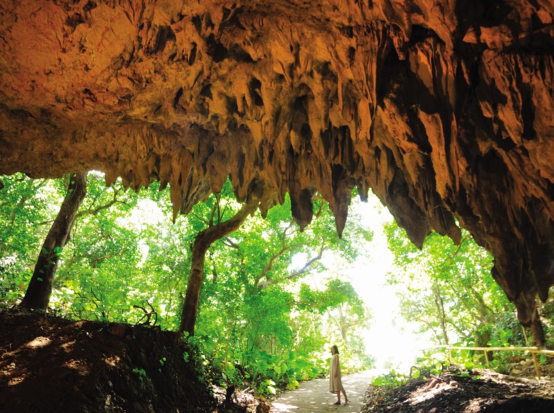 アクティビティ