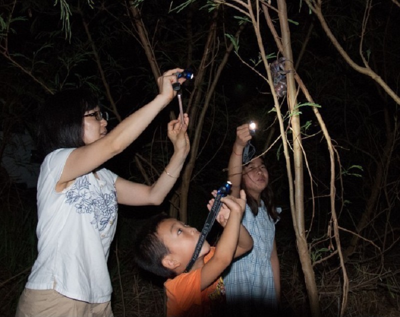 アクティビティ