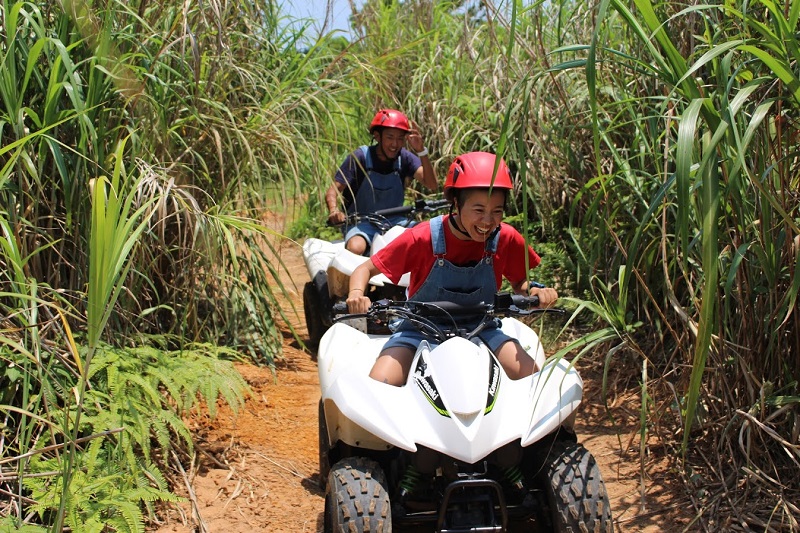 アクティビティ