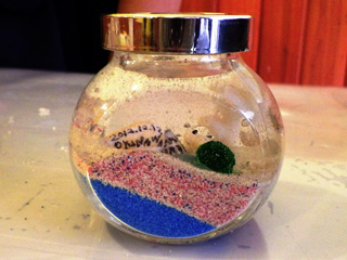 アクティビティ