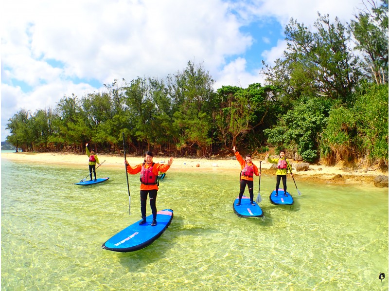 アクティビティ