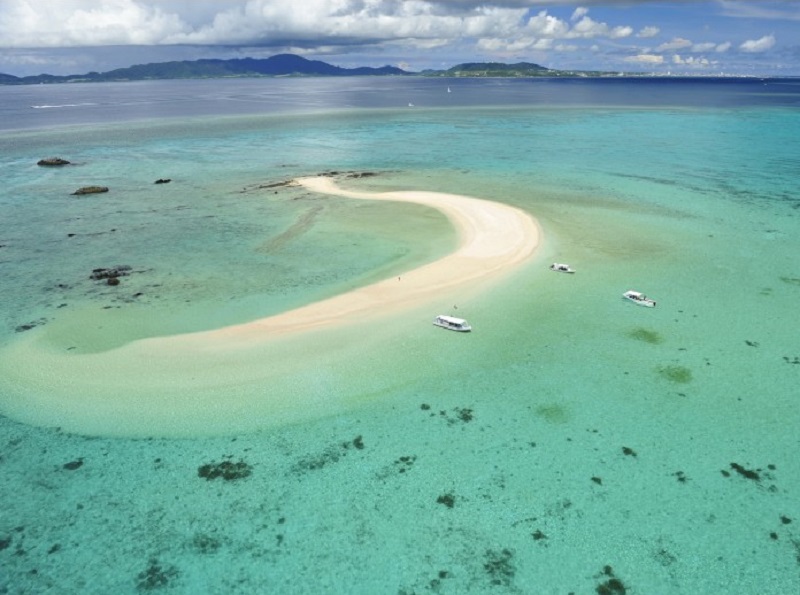 アクティビティ