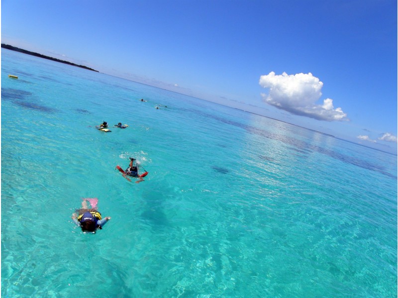 アクティビティ