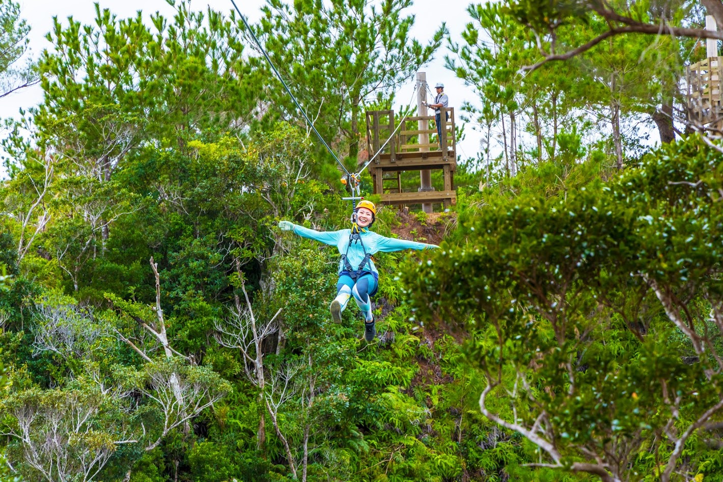 アクティビティ