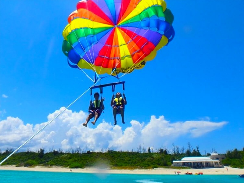 アクティビティ