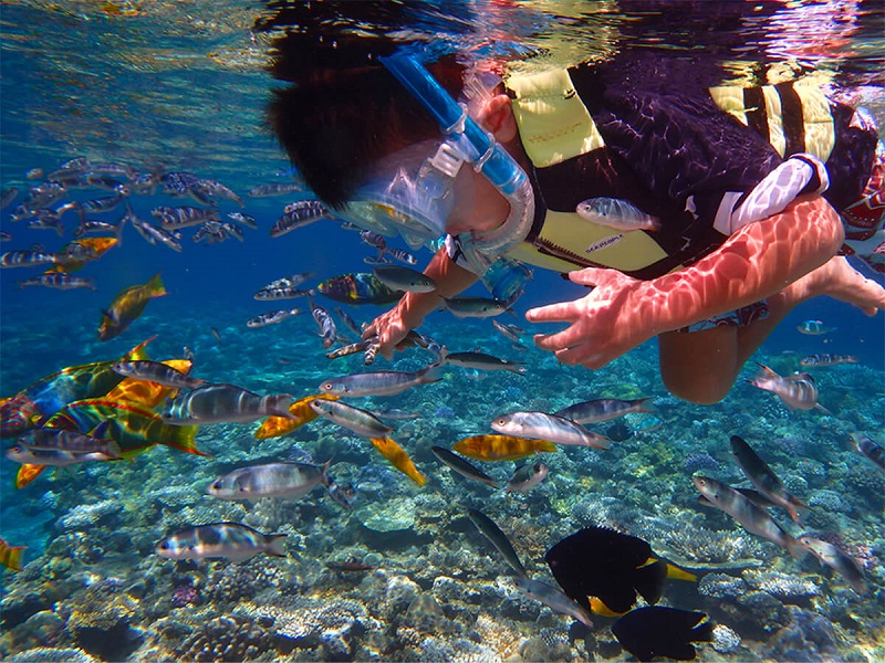 アクティビティ