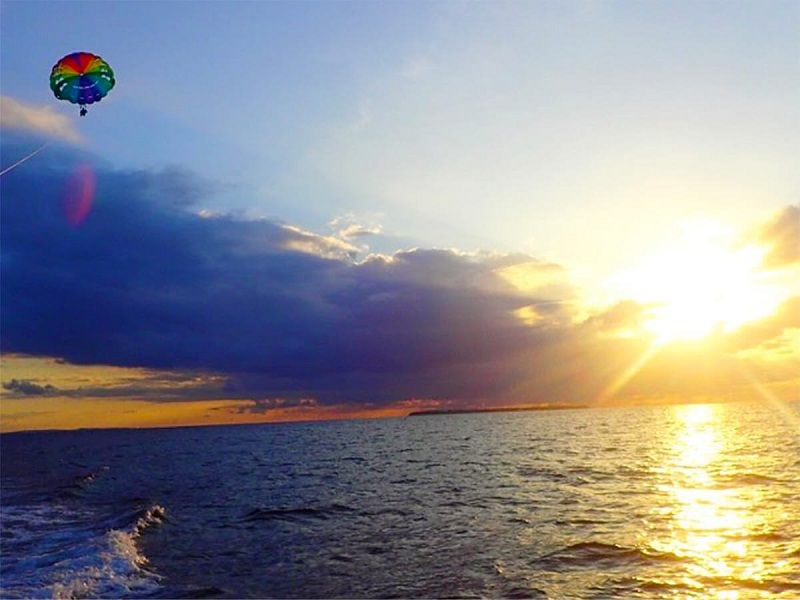 アクティビティ