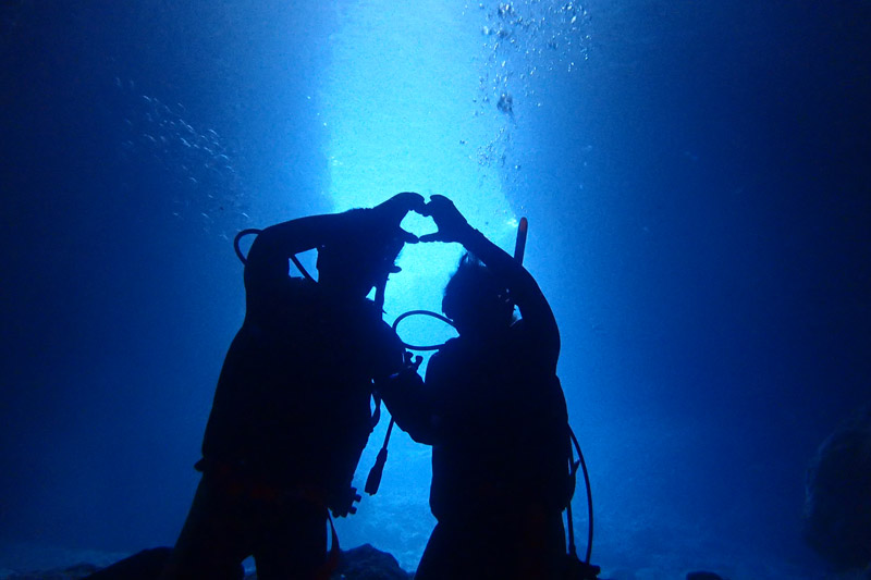 アクティビティ