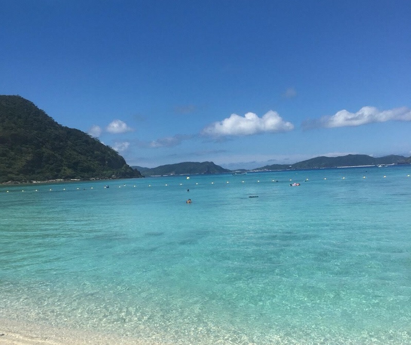 アクティビティ