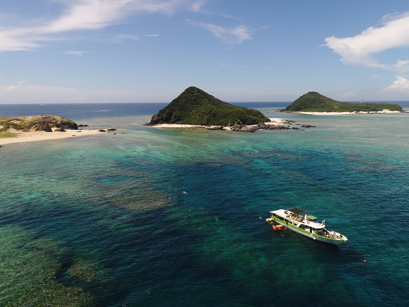 アクティビティ