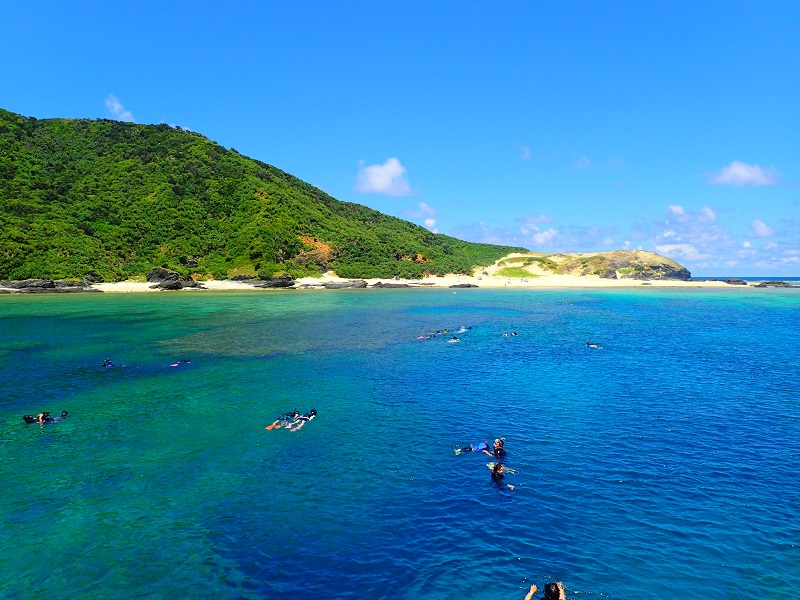 アクティビティ