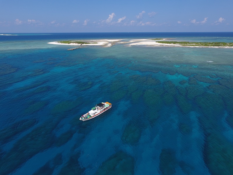 アクティビティ