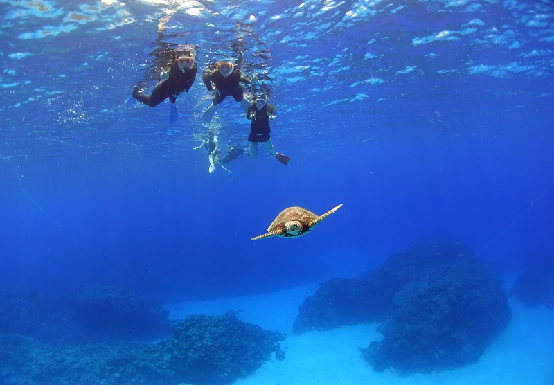 アクティビティ