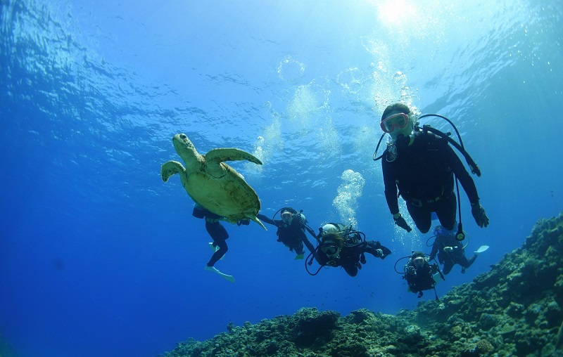 アクティビティ