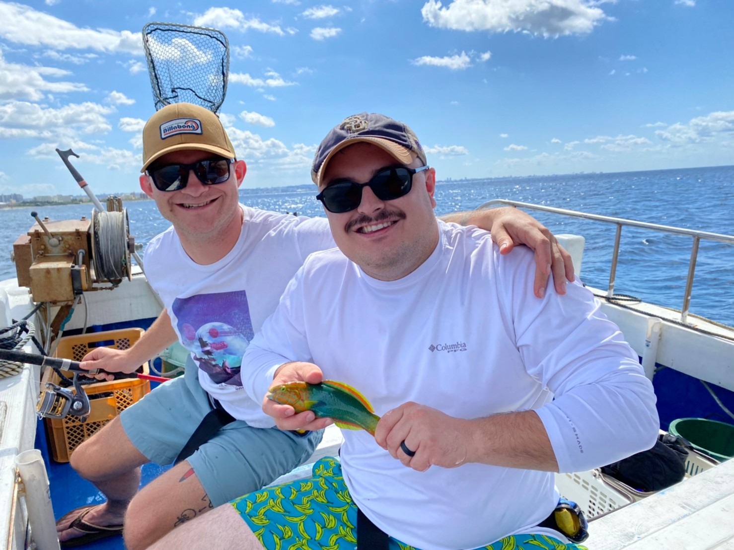 アクティビティ