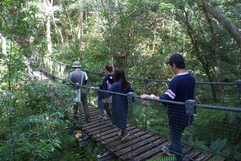 アクティビティ