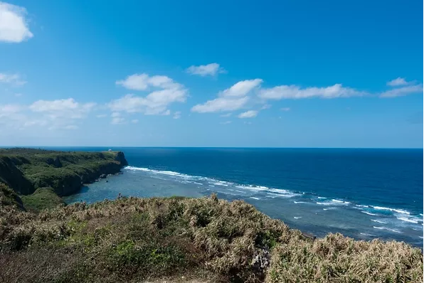 アクティビティ