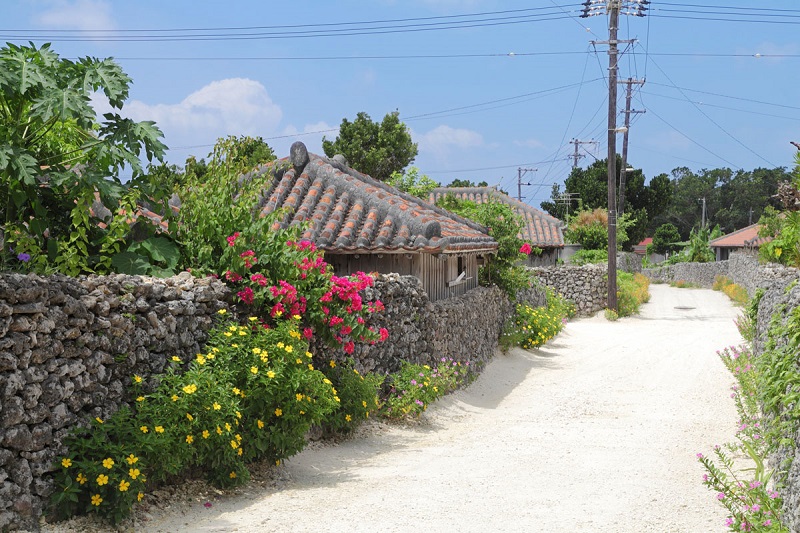 アクティビティ