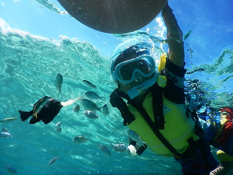 アクティビティ