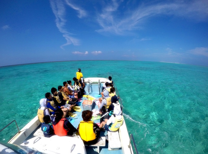 アクティビティ