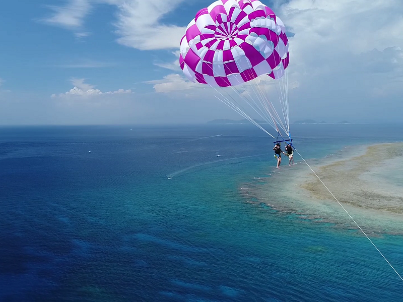 アクティビティ