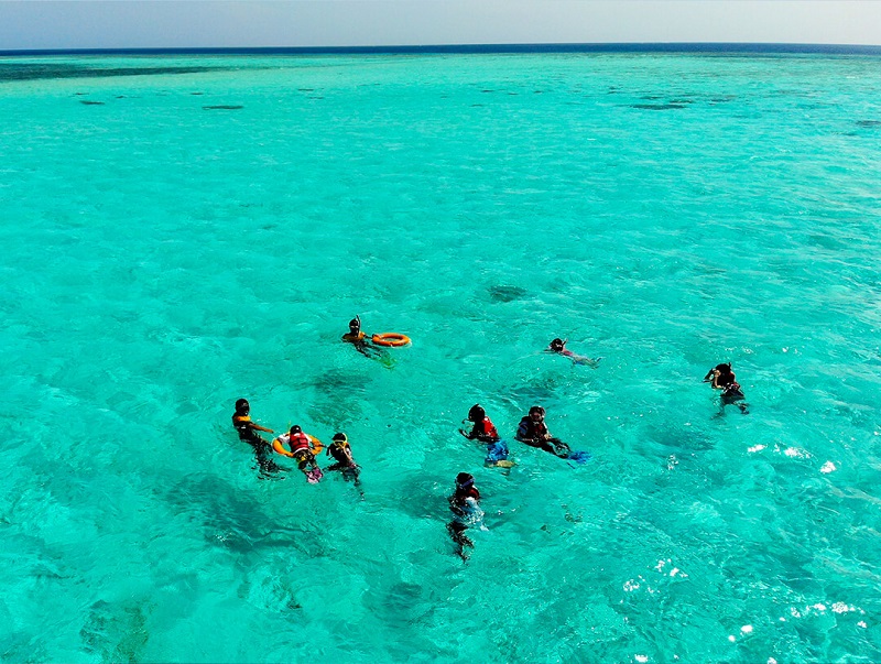 アクティビティ