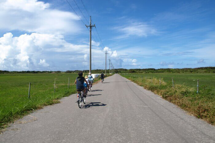 アクティビティ