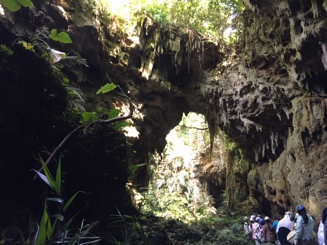 アクティビティ