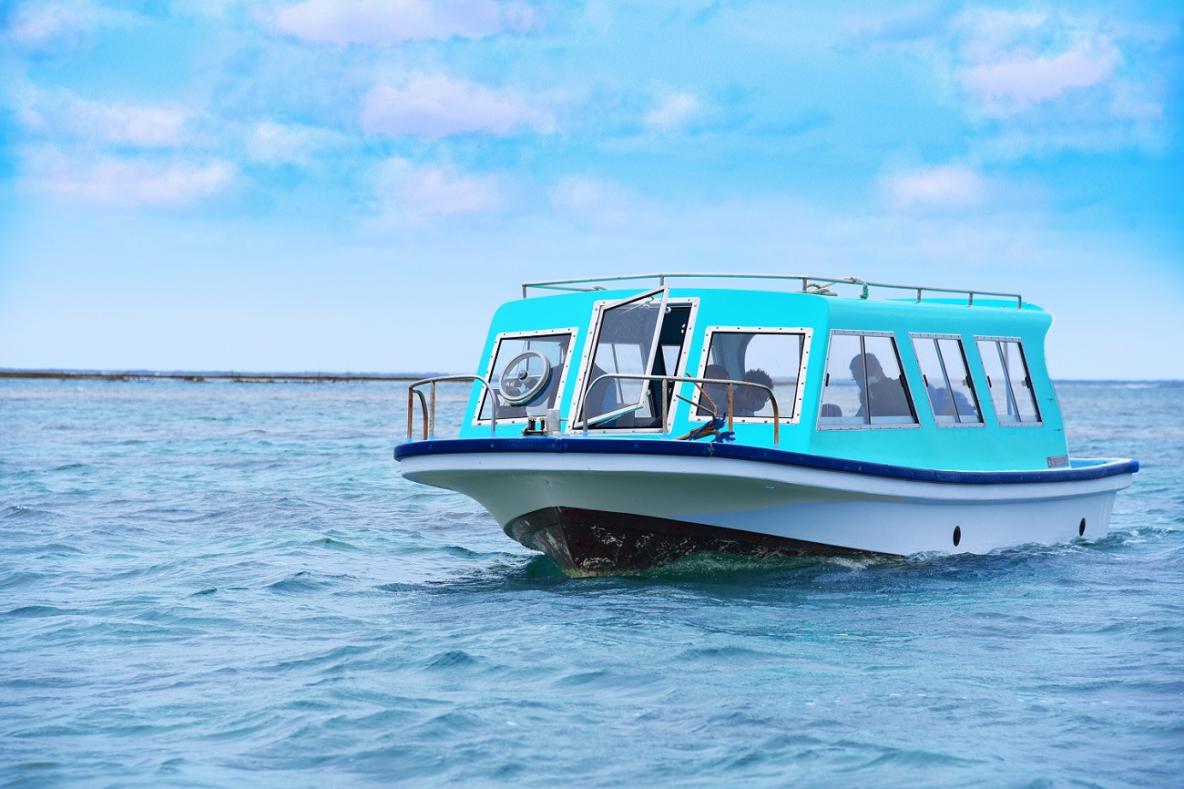 アクティビティ