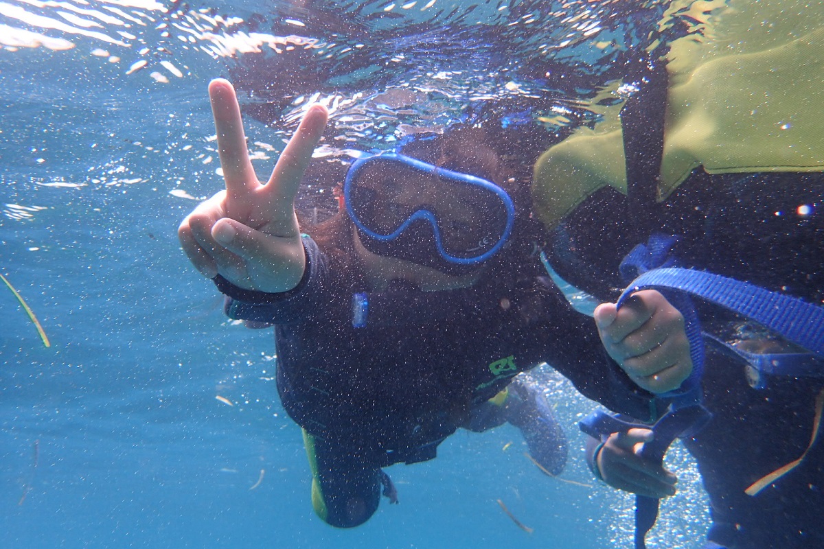 アクティビティ