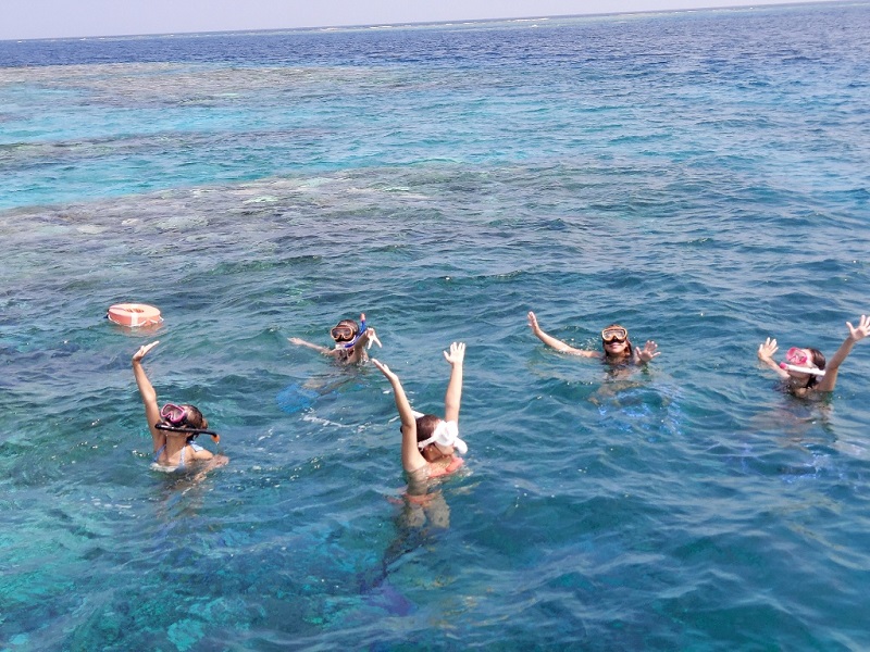 アクティビティ