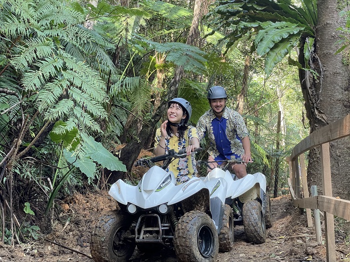 アクティビティ