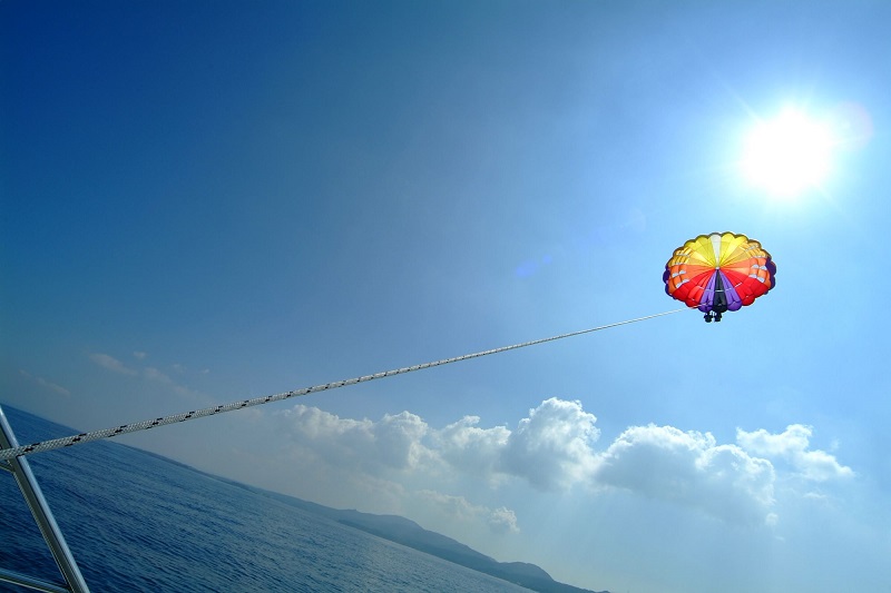 アクティビティ