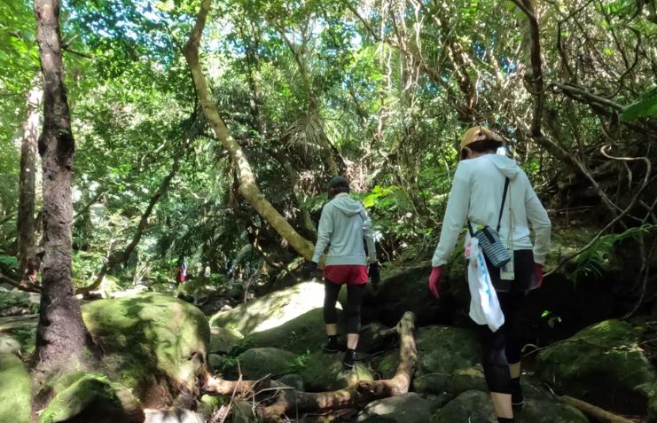 アクティビティ