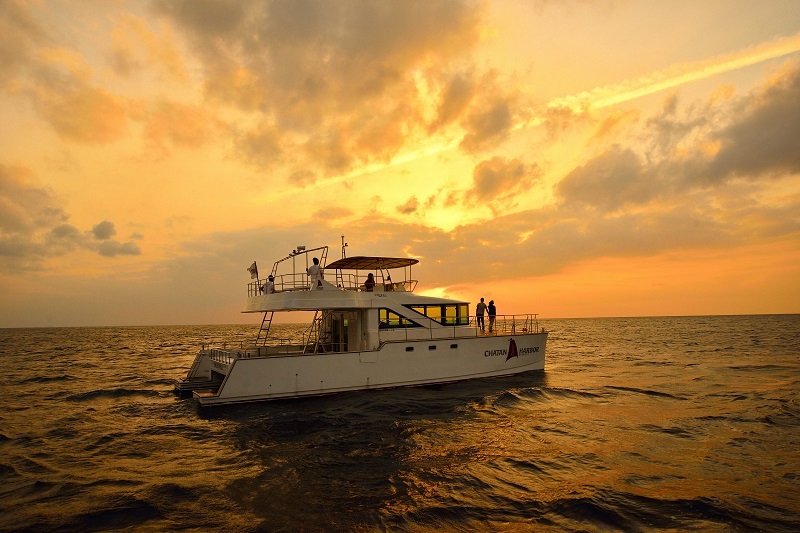 アクティビティ