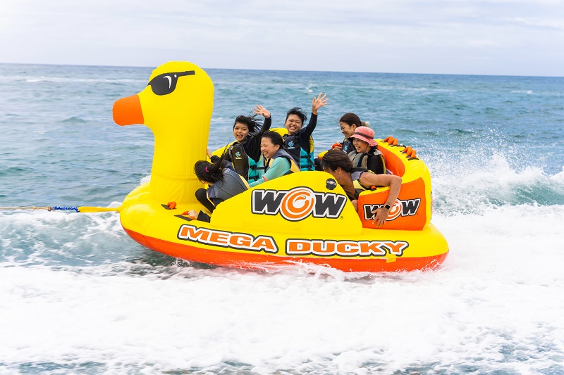 アクティビティ