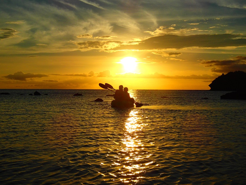 アクティビティ