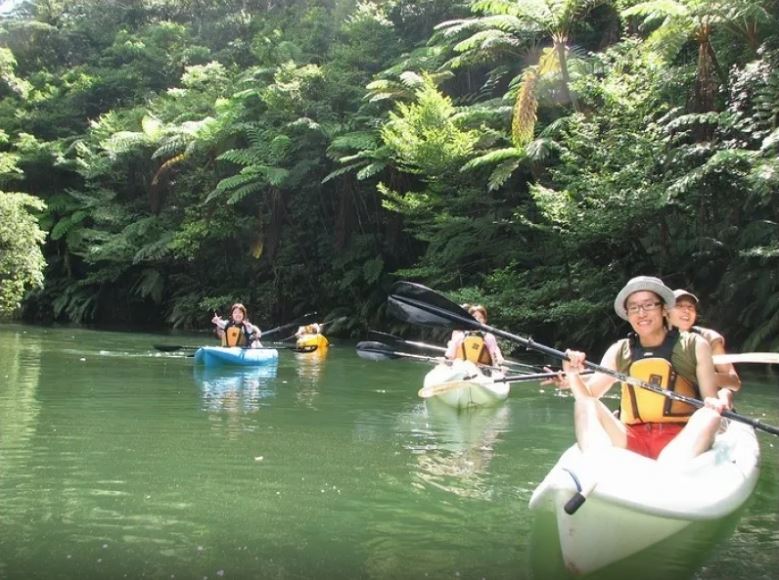 アクティビティ