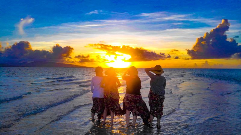 アクティビティ