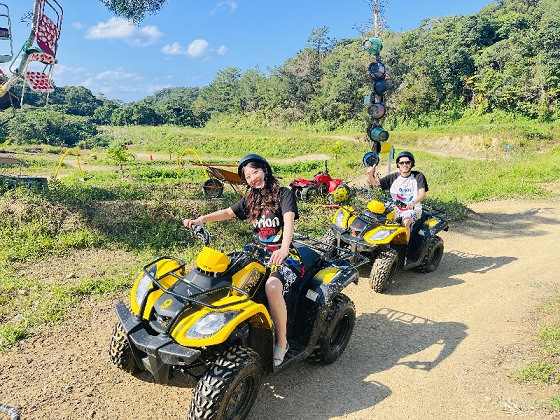 アクティビティ