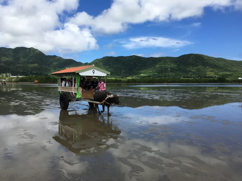 アクティビティ