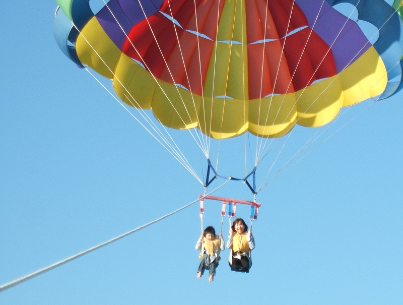 アクティビティ